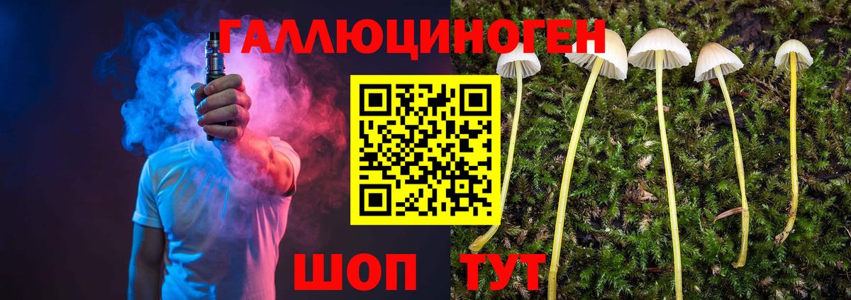 Гуково  Галлюциногенные грибы мицелий  Вход с VPN  наркошоп  Галлюциногенные грибы Psilocybe 